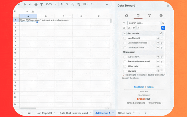 Data Steward in action - organize tabs, protect sheets, and track changes